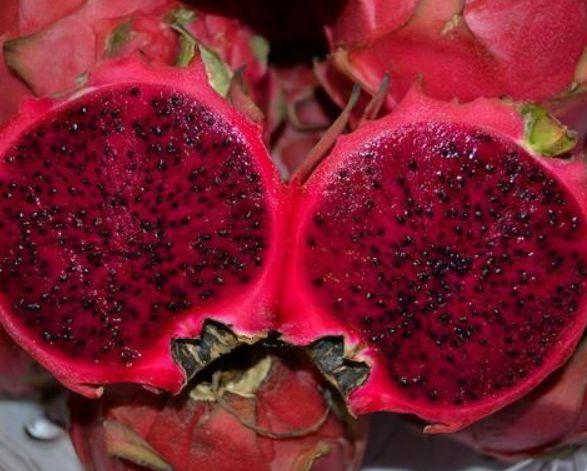 火龍果「紅心」和「白心」有什麼區別？不懂你的火龍果白吃了