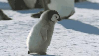 秋冬季猝死高發？！經常做這10個動作的人，想不長壽都難