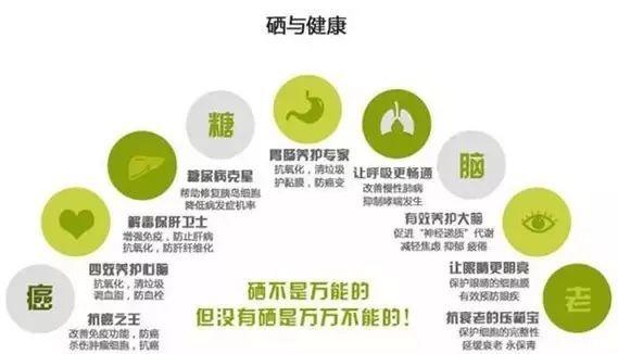 硒是微量元素中的「胰島素」，搭配這8種食物，降糖更有效！