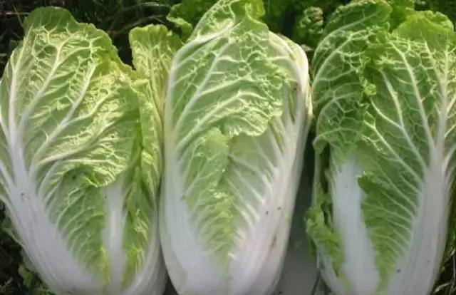 手腳乾燥裂開，教一招土偏方，皮膚滑嫩，省錢又省心