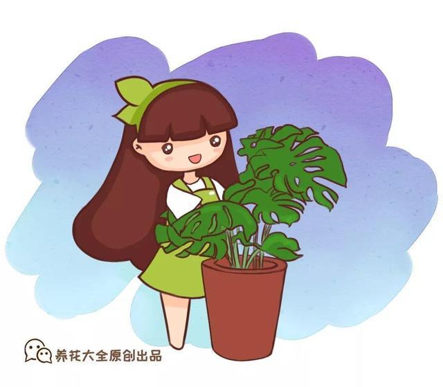垃圾桶裡撿了半截樁，回家扔盆裡就冒芽，1個月躥成搖錢樹！