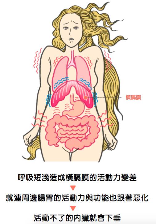 內臟下垂才小腹凸出！日達人實現三天腹部平坦術