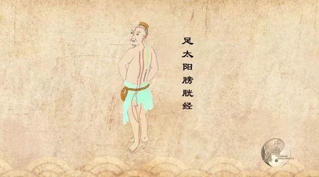 厲害了！梳頭竟然也能養生？國醫大師都在用！