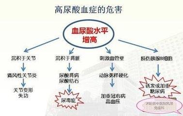 身體里「嘌呤」來的多了，去的少了，高尿酸血症就產生了！