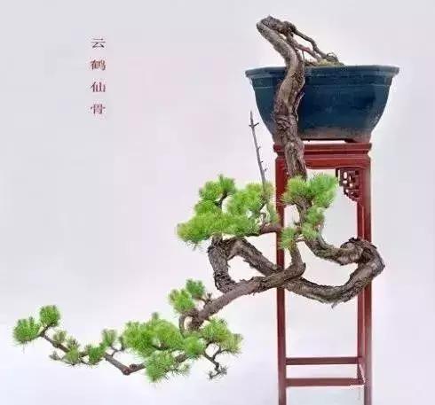 什麼叫做人？（精闢）
