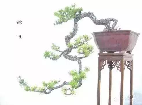 什麼叫做人？（精闢）