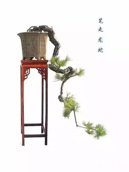 什麼叫做人？（精闢）