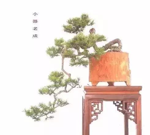 什麼叫做人？（精闢）