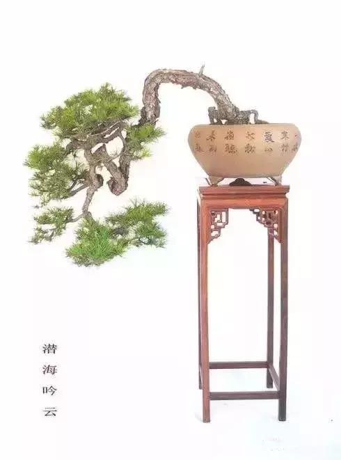 什麼叫做人？（精闢）