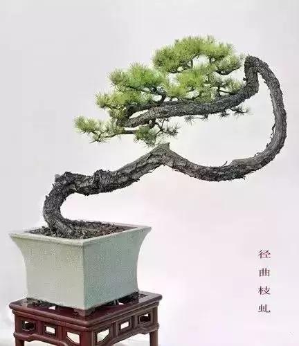 什麼叫做人？（精闢）