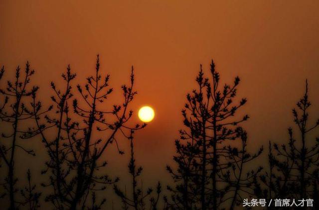人有萬算，天只一算！非常精闢，值得一看