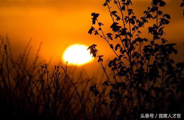 人有萬算，天只一算！非常精闢，值得一看