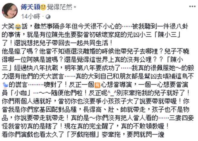 不爽陳子強再婚！傅天穎臉書暴走「小三篡位成功」還想搶兒子，吞忍5年飆罵：「佩服你們的謊言」!