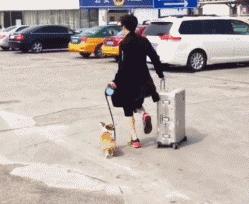 跟空姐合影才是檢驗明星顏值的標準，蔣欣瘦三圈，劉濤輸得很慘！