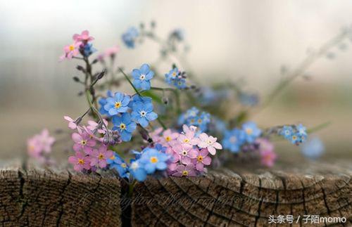 去小叔子婚禮的路上，收到婆婆一條語音，聽完後我和老公去民政局