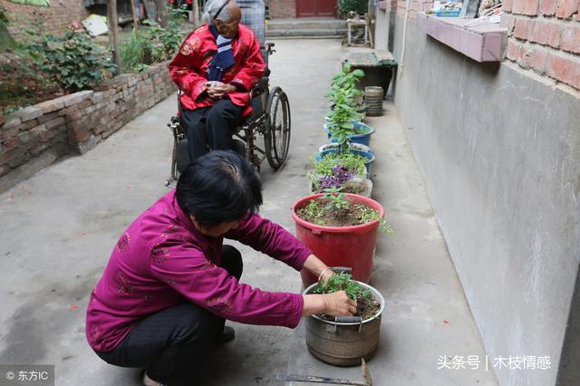 婆婆你不待見我，我婚前娘家房子都要給二弟？以後也別想靠我們