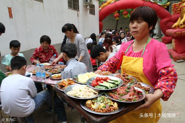 每月打錢回家，你們一家三口吃好穿好，就給我媽吃野菜？