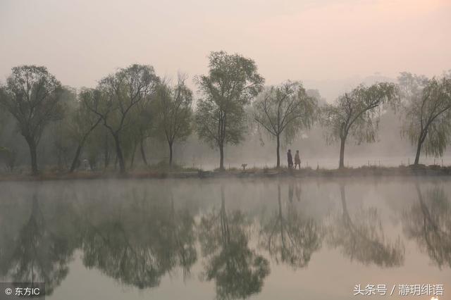 嫂子，過去的事咱們就不要提了，你就可憐可憐我媽，原諒她吧