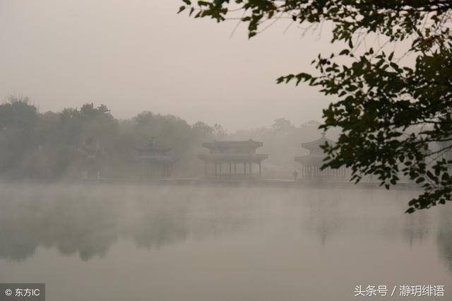嫂子，過去的事咱們就不要提了，你就可憐可憐我媽，原諒她吧