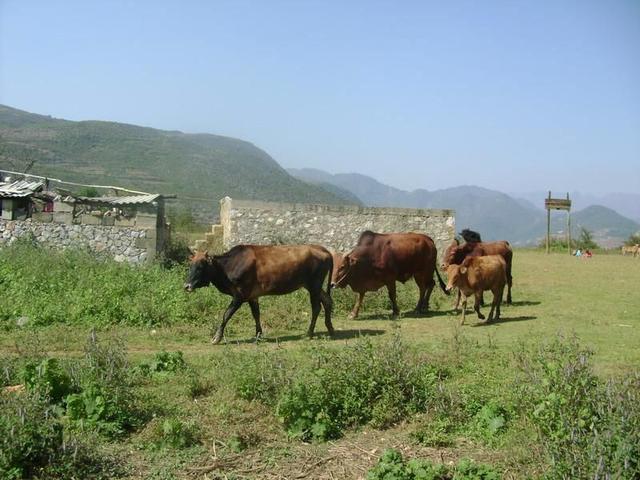 離婚一年後在街上碰見前夫帶著兒子，兒子抱住我喊了一聲媽媽，我大哭！