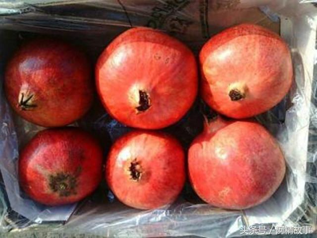 買房借哥5萬塊錢，一年後去還錢，臨走嫂子給箱石榴，打開紅了眼