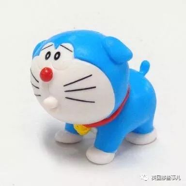 撿到小奶貓，獸醫卻說是狗，而崽子長大後才發現：全都不是啊！