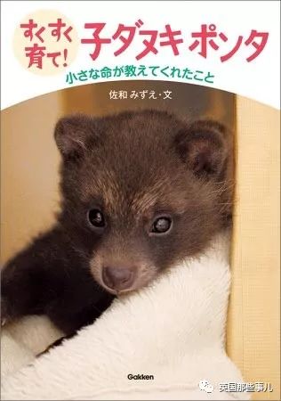 撿到小奶貓，獸醫卻說是狗，而崽子長大後才發現：全都不是啊！