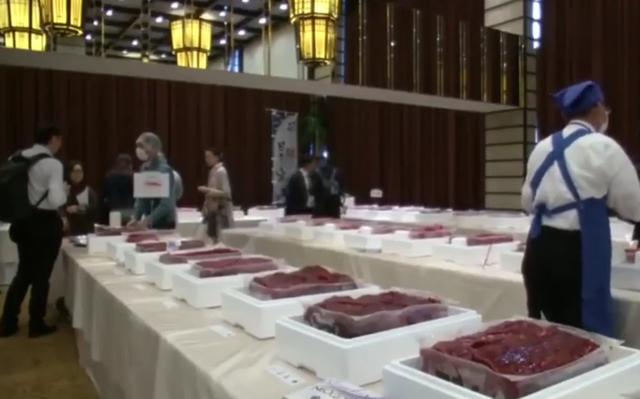 日本人把鯨魚做成刺身，看起來好嚇人，但是真的有那麼好吃嗎？