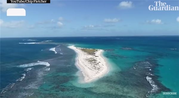 一個颱風沉了千年島嶼！驚人對比照嚇壞學者：一夕間幾千隻生物全消失