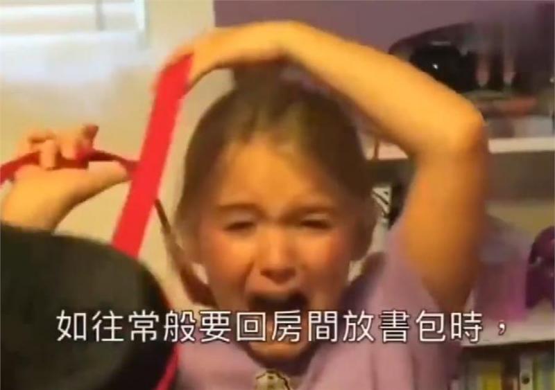 小主人看到貓咪大哭！忠犬丟掉玩玩具去察看，有愛！網：我也跟著哭了！