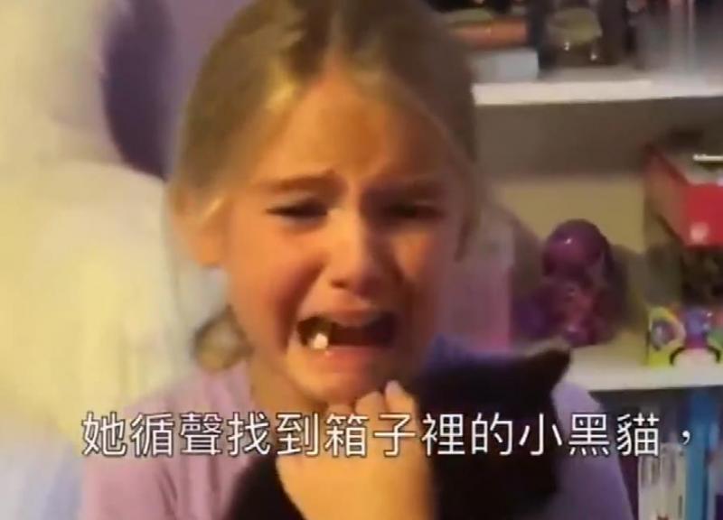 小主人看到貓咪大哭！忠犬丟掉玩玩具去察看，有愛！網：我也跟著哭了！