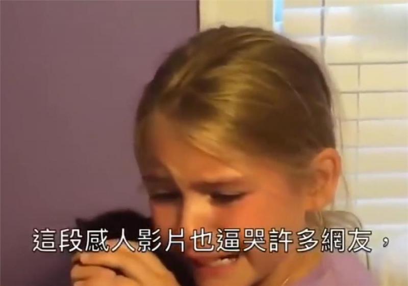 小主人看到貓咪大哭！忠犬丟掉玩玩具去察看，有愛！網：我也跟著哭了！