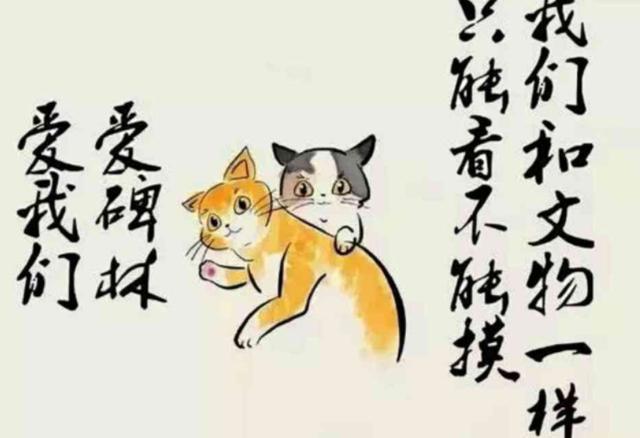 景區的橘貓太兇沒人領養，工作人員貼出告示，網友：好人有好報！
