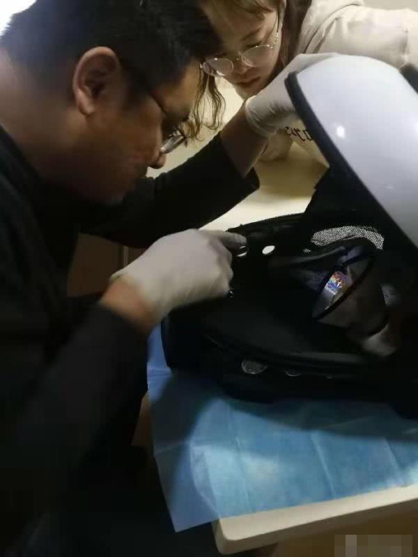 寵物醫院的特殊病人，它以後的日子該怎麼過