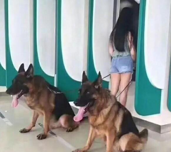 女生養狗，為什麼選公的要比母的好？看完你就知道了