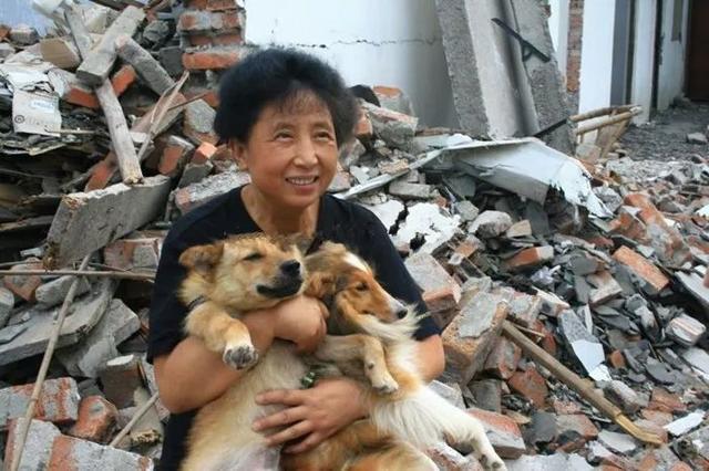 五千隻流浪狗被善良老人救助，花巨款建造愛之家，20年風雨不棄