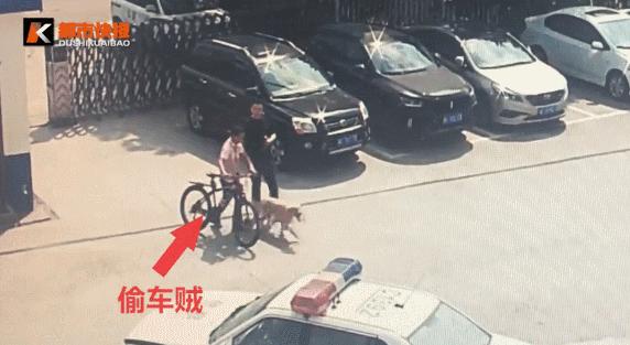 阿拉斯加被送往派出所，吃完10斤狗糧後，想當警犬還債卻被婉拒
