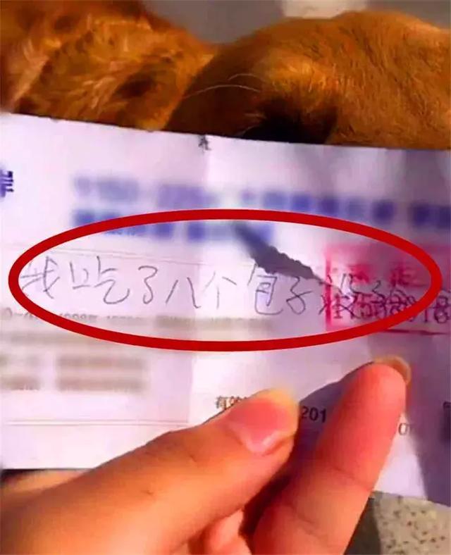 鏟屎官苦尋走失金毛，找回時在脖子上發現紙片，才發現欠了包子錢