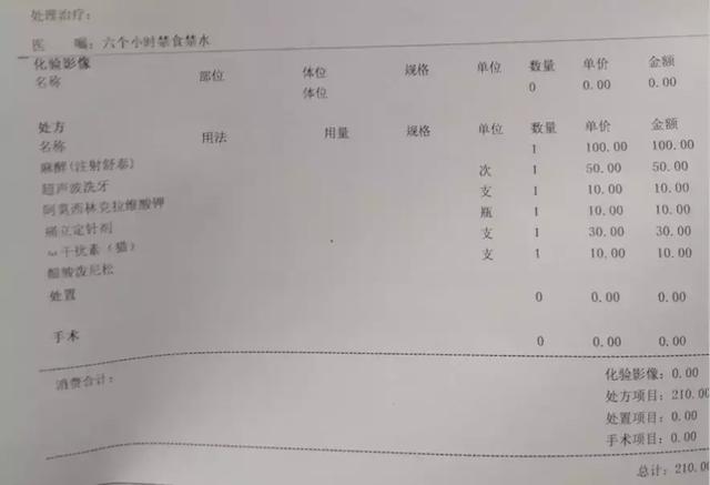 「給貓全口拔牙，對它是一種解脫」