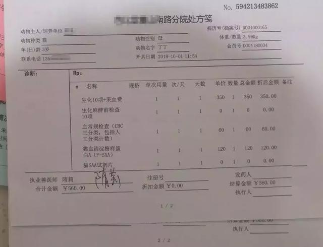 「給貓全口拔牙，對它是一種解脫」