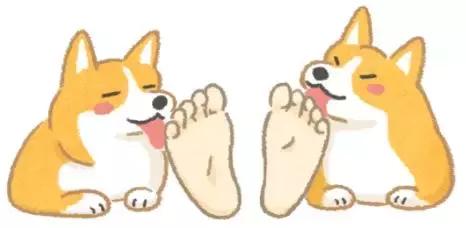 狗狗為啥喜歡舔人腳？關於狗狗的詭異行為都在這裡