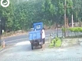 它追了主人整整20條街，「你怎麼忍心拋下我」