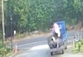 它追了主人整整20條街，「你怎麼忍心拋下我」
