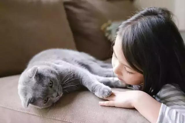 心理學研究表明：經常跟寵物說話的人比其他人更聰明