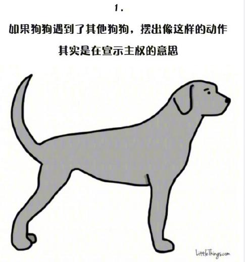 十一張漫畫告訴你，狗狗尾巴的動作里暗藏的玄機