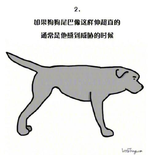 十一張漫畫告訴你，狗狗尾巴的動作里暗藏的玄機