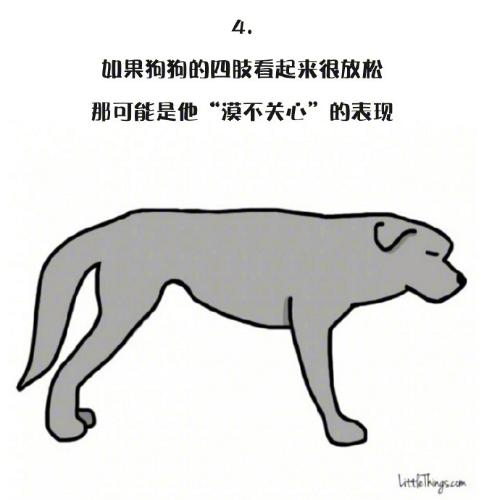 十一張漫畫告訴你，狗狗尾巴的動作里暗藏的玄機