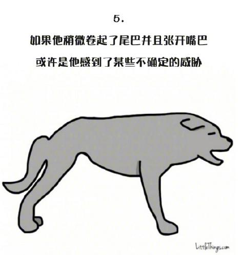 十一張漫畫告訴你，狗狗尾巴的動作里暗藏的玄機