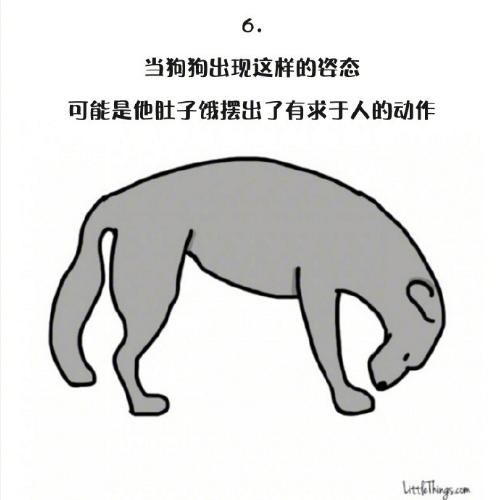 十一張漫畫告訴你，狗狗尾巴的動作里暗藏的玄機