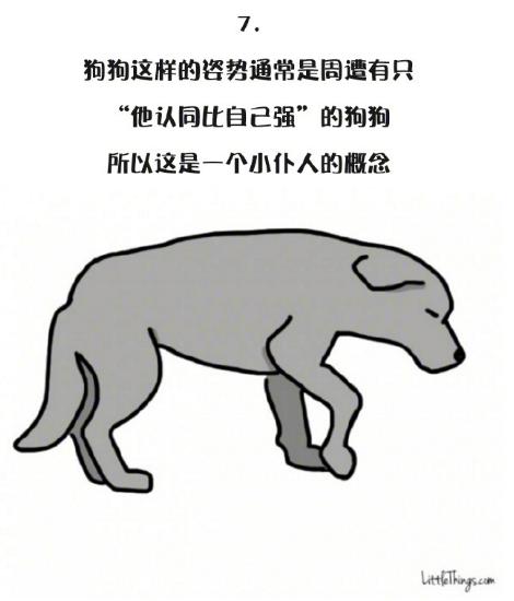 十一張漫畫告訴你，狗狗尾巴的動作里暗藏的玄機
